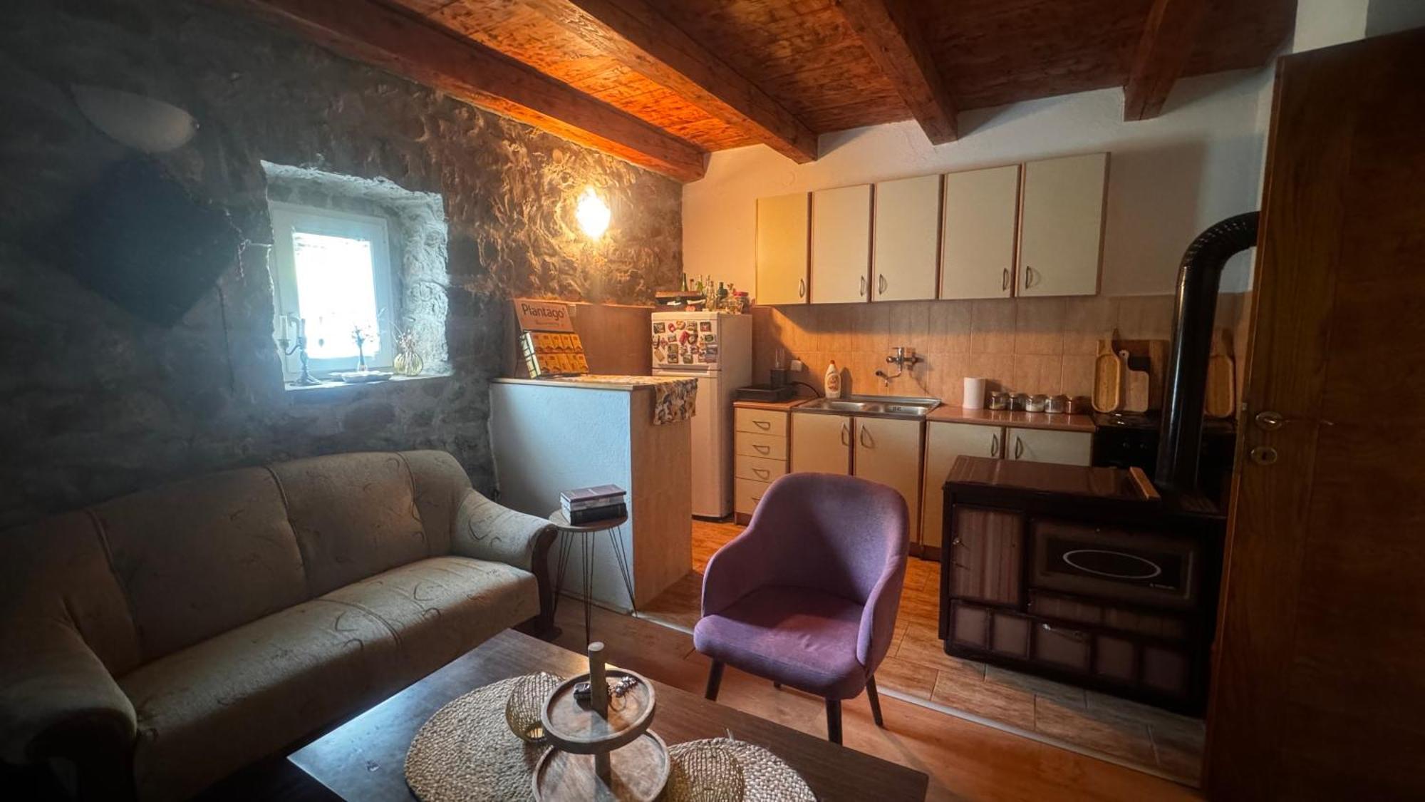 Stara Kuca Smrijacno Villa Pluzine Exterior photo